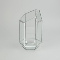 Vasesource Geometric Glass Terrarium   